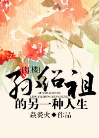 [红楼]孙绍祖的另一种人生