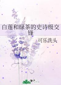 白莲和绿茶的史诗级交锋