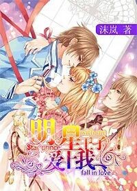 明星王子爱上我