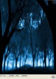 仙女星贱民乞丐传1白龙女权开元 女性转轮圣王