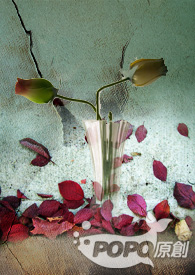 GFRIEND系列CP创作文