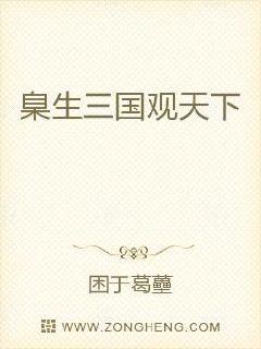 臬生三国观天下