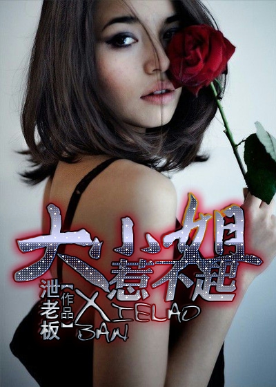 柳烟罗陆齐铭小说