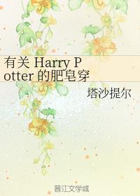 有关 Harry Potter 的肥皂穿越之旅