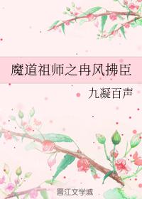 魔道祖师之冉风拂臣