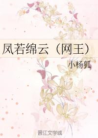 凤若绵云（网王）