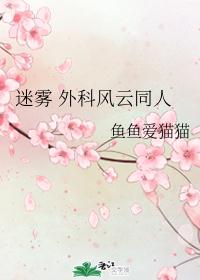 迷雾 外科风云同人