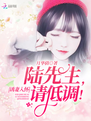 诱妻入怀：陆先生，请低调！