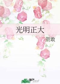 光明正大
