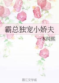 霸总独宠小娇夫