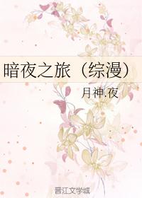 暗夜之旅（综漫）