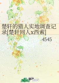 楚轩的猎人实地调查记录[楚轩同人x西索]