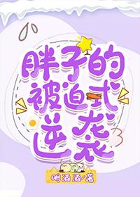 胖子的被迫式逆袭