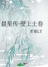 晨星传·壁上土卷