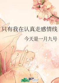 只有我在认真走感情线