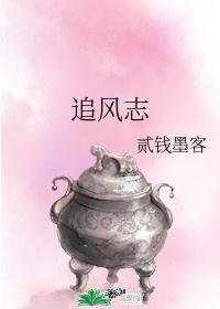 追风志