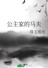 公主家的马夫
