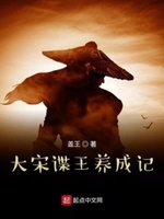 大宋谍王养成记