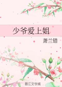 少爷爱上姐